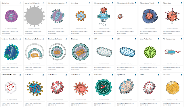 NIH BioArt Source网站"病毒"分类下的插图列表截图,展示汉坦病毒、HIV、腺病毒、寨卡病毒、新冠病毒(SARS-CoV-2)、尼帕病毒、H5N1等多种病毒的科学插图缩略图,均标注作者NIAID Visual & Medical Arts及编号
